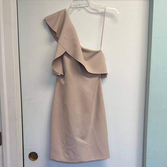 Elizabeth and James Blush One-Shoulder Dress - Picture 4 of 4